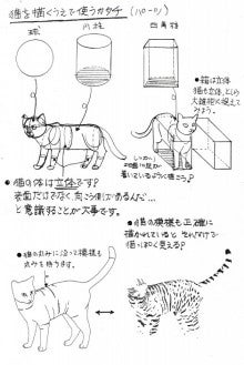猫の描き方とコツ講座 東京アートデザイン教室 動物イラストやデザインの描き方やコツのブログ