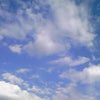 Yesterday’s diaryの画像
