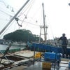 《巻き網漁》いわし！イワシ！！鰯！！！　30トン☆安乗漁港に揚がりましたヽ(ﾟДﾟ;)ﾉ!!の画像