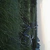 自転車で埼玉～千葉(^◇^)┛の画像