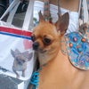 ★ＬＡstyle★の画像