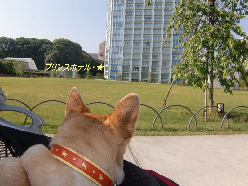 どすこい空が行く-97