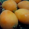 ☆びゎ☆の画像