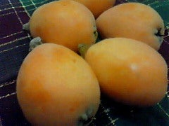 ☆春夏秋冬ぃぃﾄｺ日記☆-201006092132000.jpg
