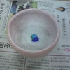 陶芸教室 3回目の画像