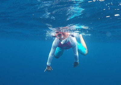 イルカ！御蔵・ハワイの画像で　ほっ！癒しの旅、ネイチャーガイド～風の道～ブログ