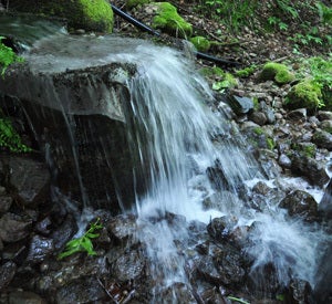 白神山地ツアーで能代山本地区の活性化すっぺ-横倉の水3