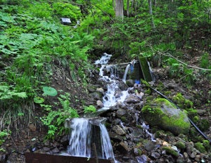 白神山地ツアーで能代山本地区の活性化すっぺ-横倉の水1