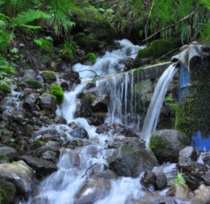 白神山地ツアーで能代山本地区の活性化すっぺ-横倉の水2