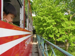 ＊bloombloom＊～不定期育児たより～-スイス登山鉄道