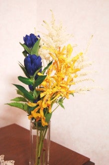 トロピカルな蘭の花 モカラ 花で彩る生活