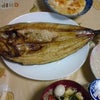 北海道のホッケと、スイミング無料体験～♪の画像