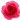 dreamin dreamin-DIMG0918.gif