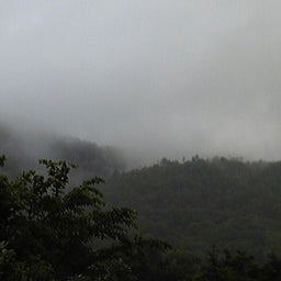 家庭教師のえーるのブログ-霧の山