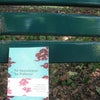 公園で読書の画像