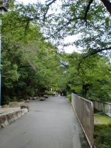 $スキンヘッダーの輝ける日々-江戸川公園
