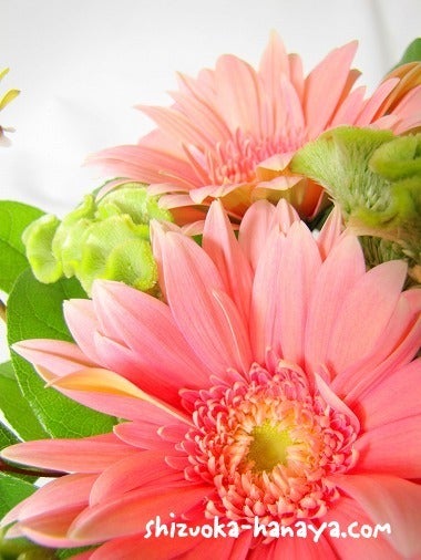 毎週お届けのアレンジメント ガーベラ モカラ 静岡市葵区流通センター通りにある花屋のブログです