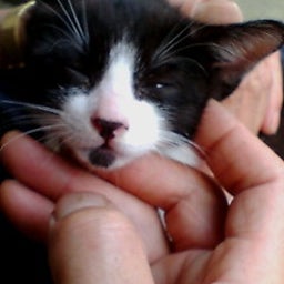 ｍａｒｉｍｏ*｡な日々-20100704175356.jpg