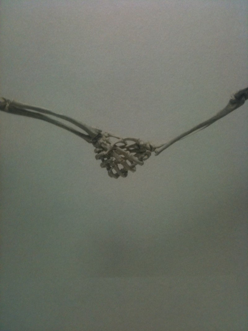 photo:04