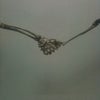 IN my mindの画像