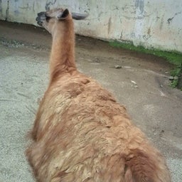 babbablogさんのﾌﾞﾛｸﾞ-20100707124535.jpg