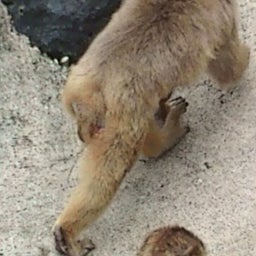 babbablogさんのﾌﾞﾛｸﾞ-20100707121007.jpg