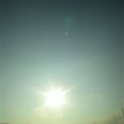 chasehuntのﾌﾞﾛｸﾞ-100708_060802.jpg