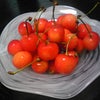 ★さくらんぼ★の画像