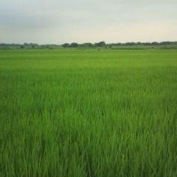 $ArtMark PROJECT　映像ディレクター Blog-20100707135031.jpg