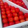 さくらんぼんぼ！の画像