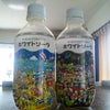まだの画像