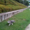 久々にの画像