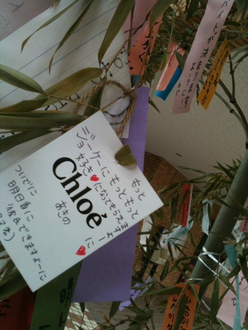 photo:01