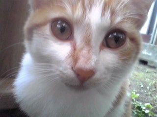 JUNのブログ