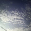 ★Iamはんぐり-★の画像