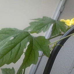 jun's　diary-Image318.jpg