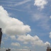 お天  気ラララ♪の画像