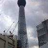 スカイツリーの画像