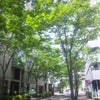 新横浜の画像