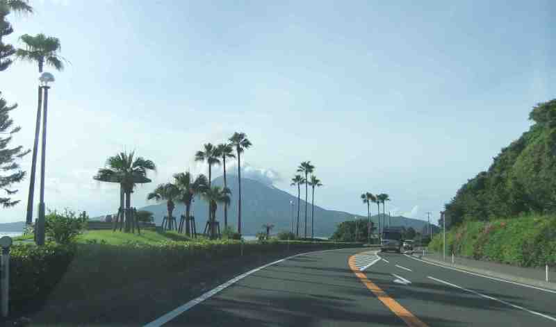 みけにゃんママの花と猫と自然と自然にライフイン鹿児島☆