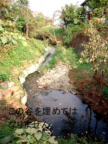 『落合川の小渓谷を保全する会』のブログ