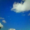 ☆河川プール☆の画像