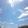 カンカン。の画像