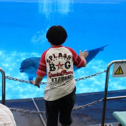 とりあえずブラジルに行ってみよう。