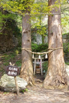 白神山地ツアーで能代山本地区の活性化すっぺ-きみまち阪恋文神社4