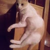 可愛い～♪の画像