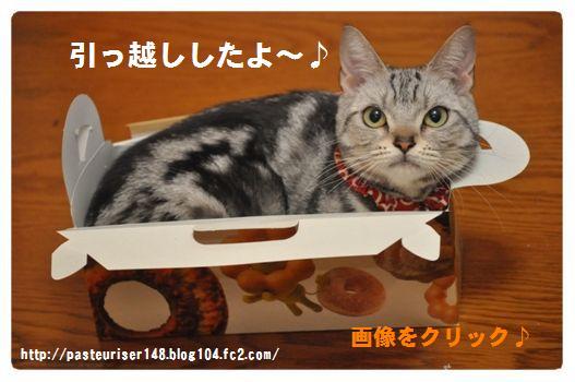 ブログ移転のお知らせの記事画像