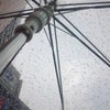おいおいおいおいの画像