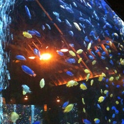 photo:01