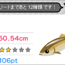 ニシン
